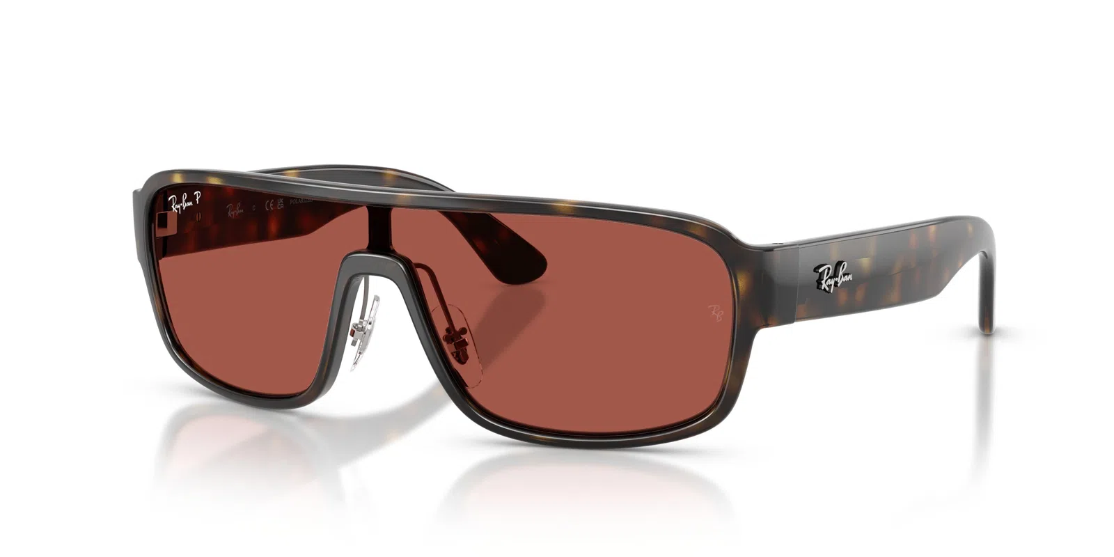 Ray-Ban 2233 Sunglasses - view 5